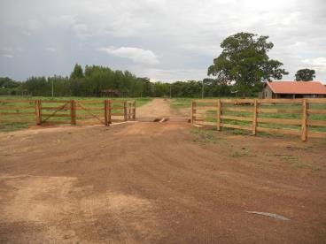 Fazenda Para Agricultura 300 Ha De Eucalipto R 4410000 Agroads